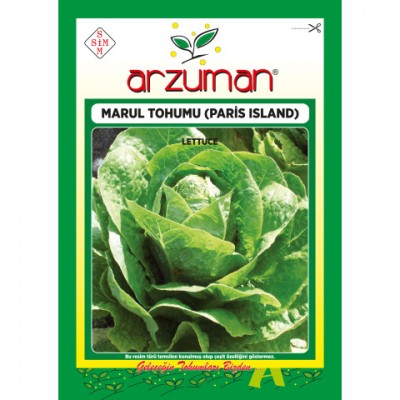 Paris İsland Marul Tohumu 10 GR Arzuman