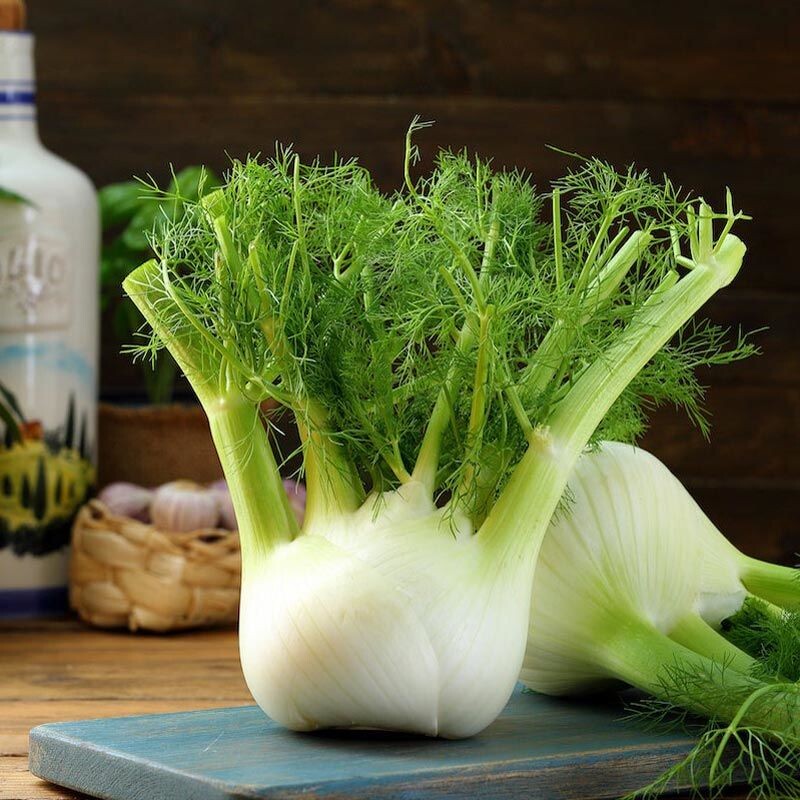 Kök Rezene Tohumu - 1 Kg - TohumBox