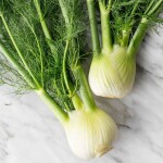 Kök Rezene Tohumu - 1 Kg - TohumBox