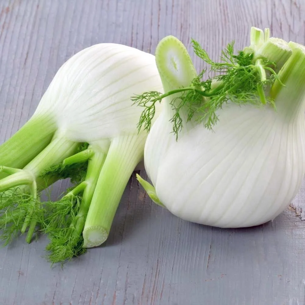 Kök Rezene Tohumu - 1 Kg - TohumBox