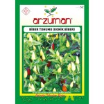Konik Biberiye Tohumu ( Arzuman )